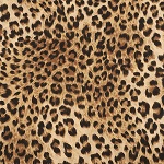 Расцветка, узор ткани: "леопард"